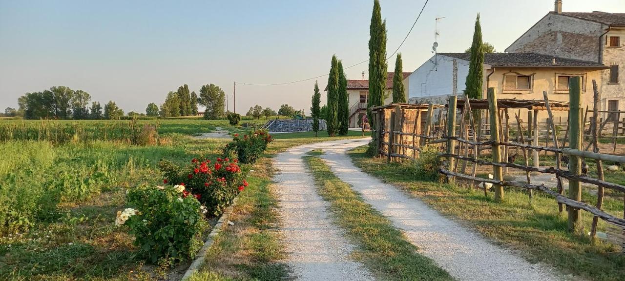 San Pietro B&B App 5 Castel Goffredo Eksteriør bilde